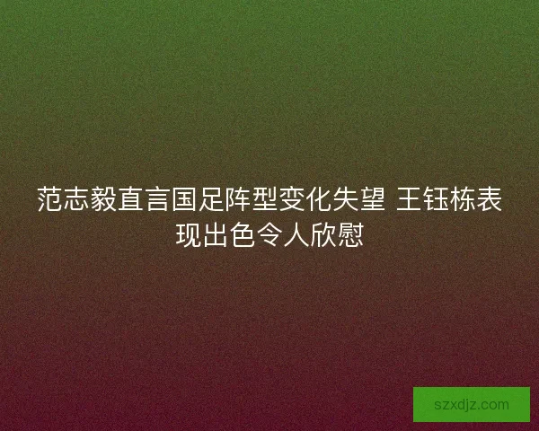 范志毅直言国足阵型变化失望 王钰栋表现出色令人欣慰