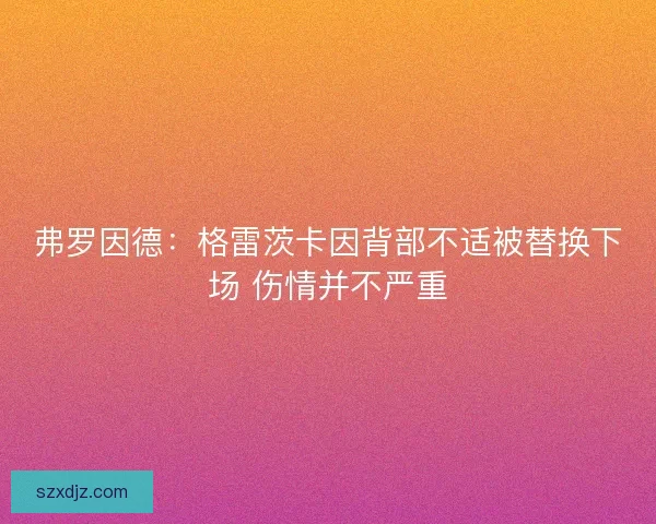 弗罗因德：格雷茨卡因背部不适被替换下场 伤情并不严重