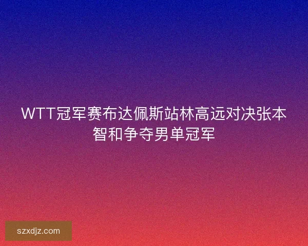 WTT冠军赛布达佩斯站林高远对决张本智和争夺男单冠军